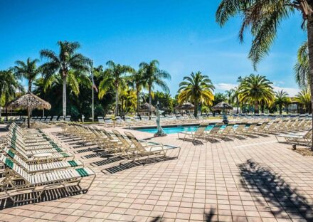 Galeria de miniaturas