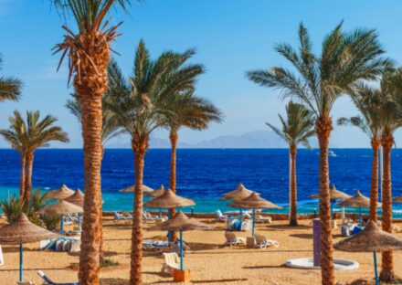 Galeria de miniaturas