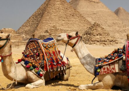 Galeria de miniaturas