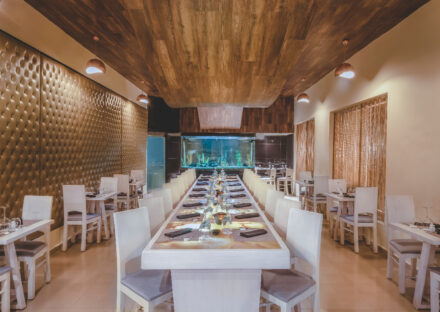 Galeria de miniaturas