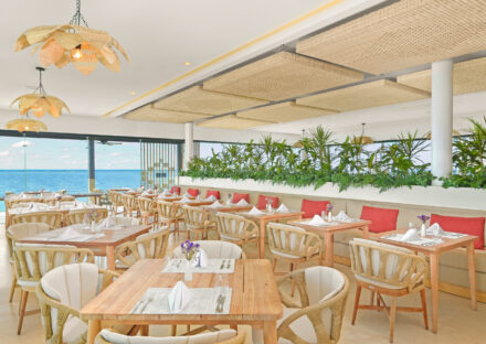 Galeria de miniaturas