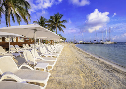 Galeria de miniaturas