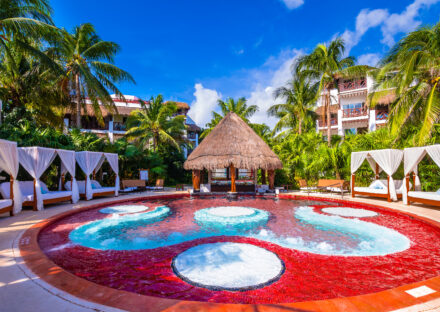 Galeria de miniaturas